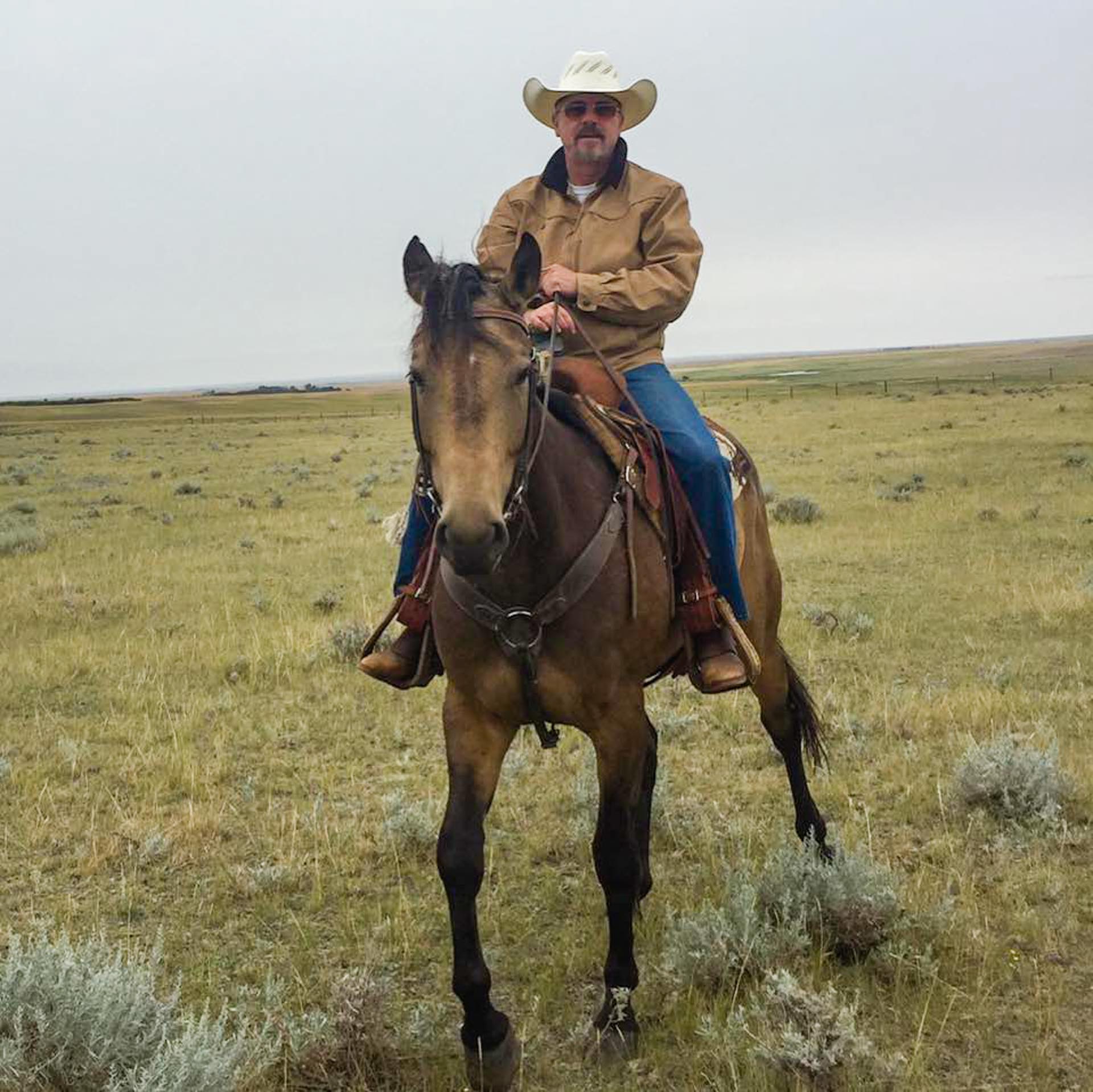 Brad Wall It’s a very long shot but How about a ‘Reset’ that could