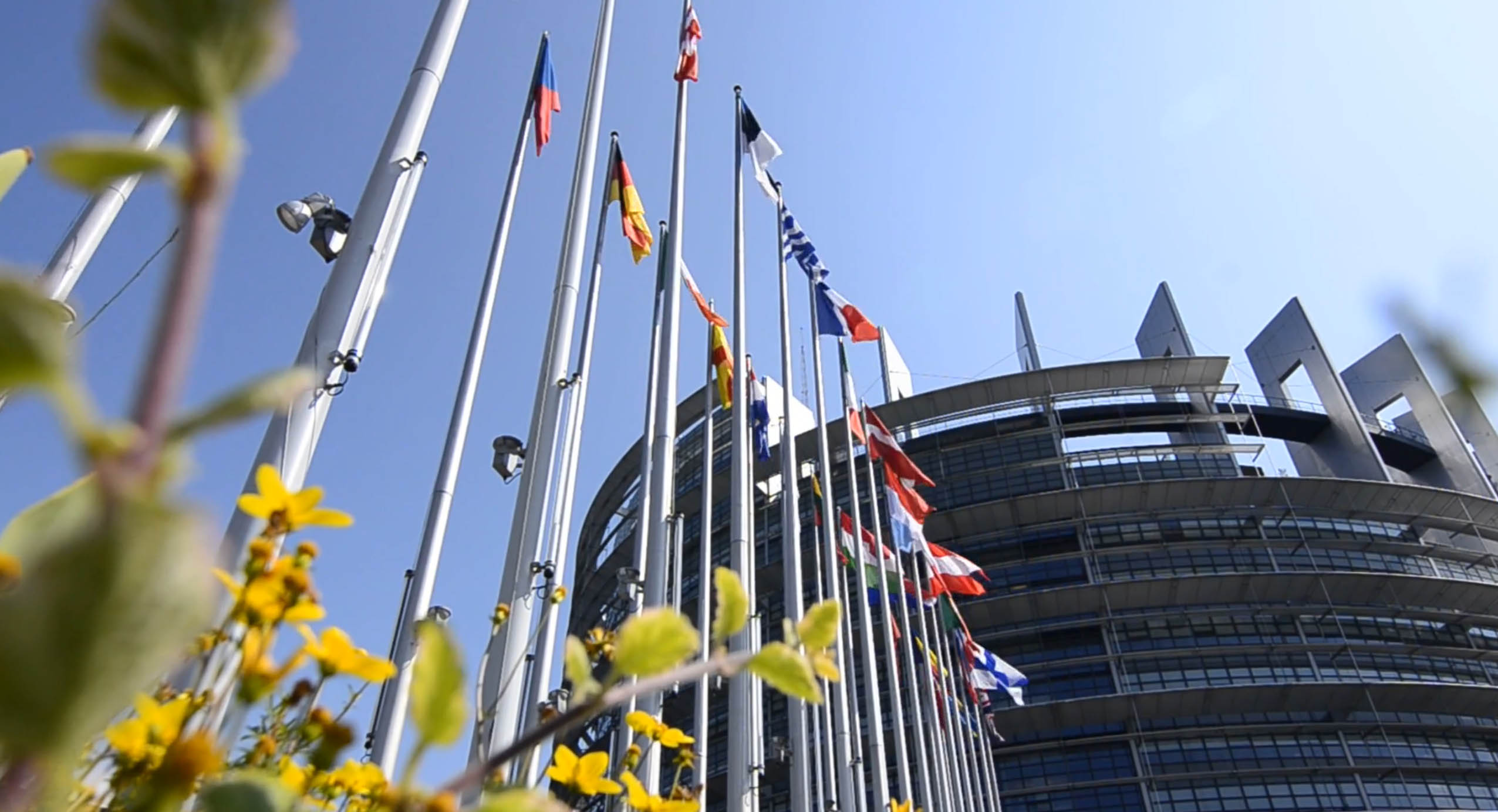 Deborah Jaremko A Matter of Fact European Parliament is wrong to