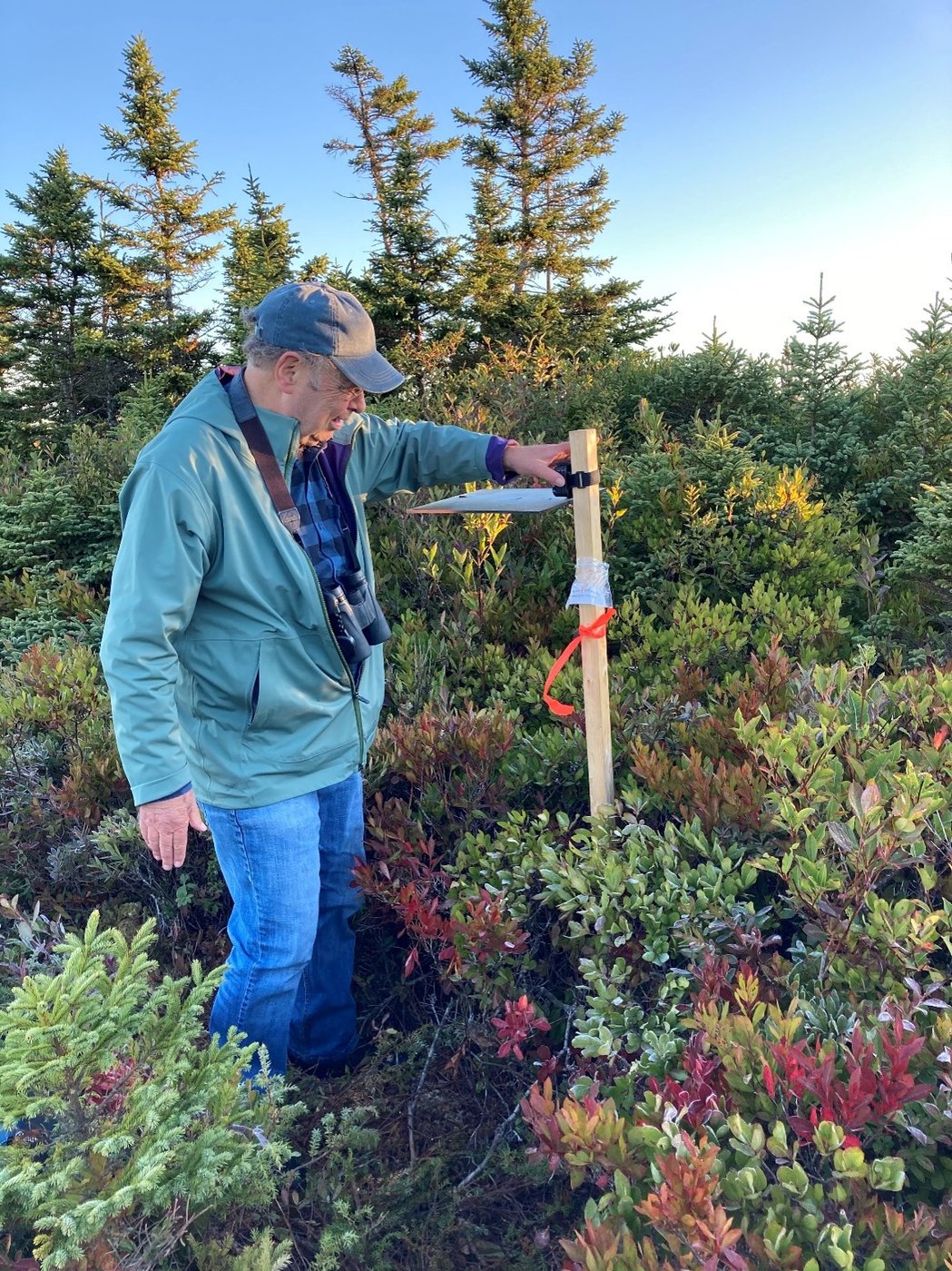 John Kearney, a former wind consultant who is now using acoustics to monitor bird populations, works on one of his stations in Nova Scotia in a handout photo. The 74-year-old environmental anthropologist is objecting to a wind development in southwestern Nova Scotia, saying it poses too great a risk to migrating flocks. The proponent of Wedgeport Wind Farm disagrees, saying the blades don’t threaten declining populations, and help the province reach its greenhouse gas emission goals. THE CANADIAN PRESS/HO-Danielle Horne