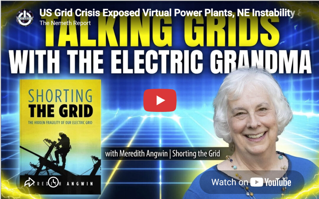 Nemeth Report:  US Grid Crisis Exposed Virtual Power Plants, NE Instability & Shorting the Grid with Meredith Angwin