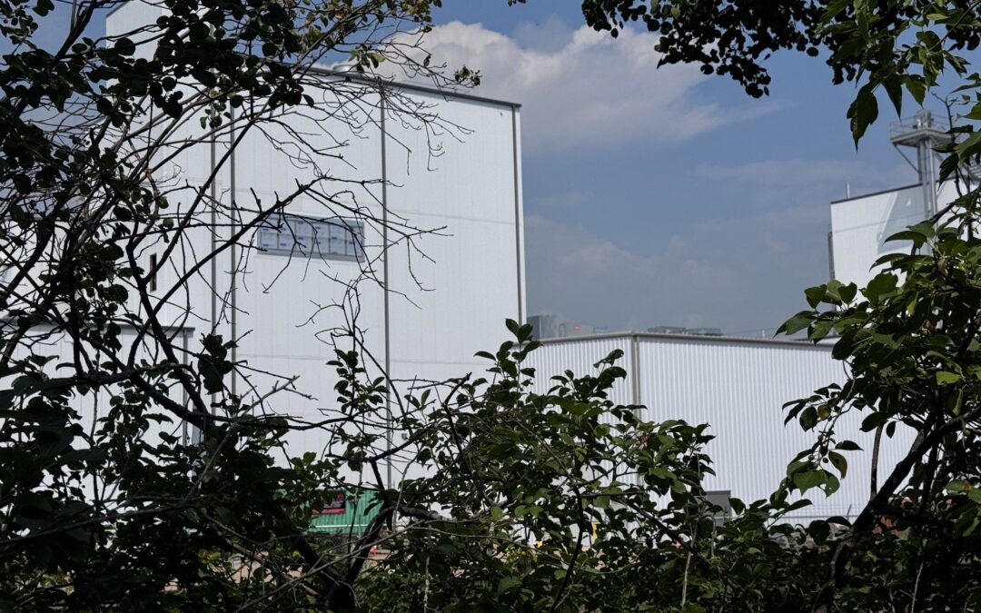 Brian Zinchuk: NIMBY and how wind, peas, canola and nuclear are tied
