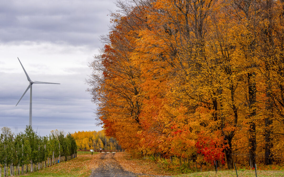 Nova Scotia approves plans for the province’s largest onshore wind farm