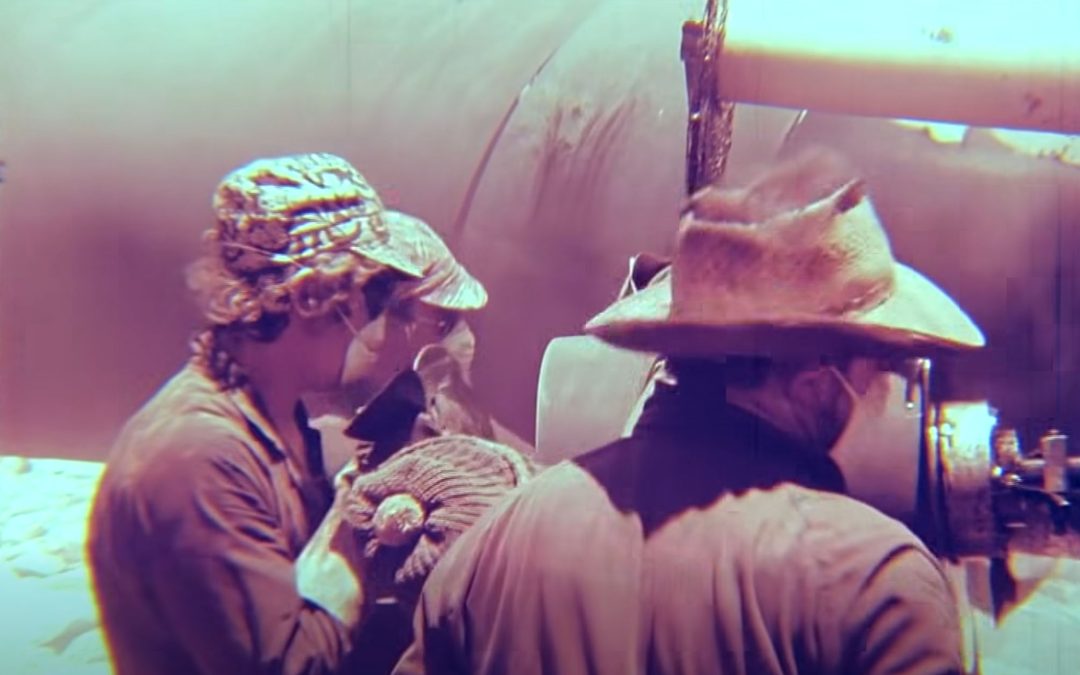 Weekend Watch: Australia’s “The Pipeliners” from 1976