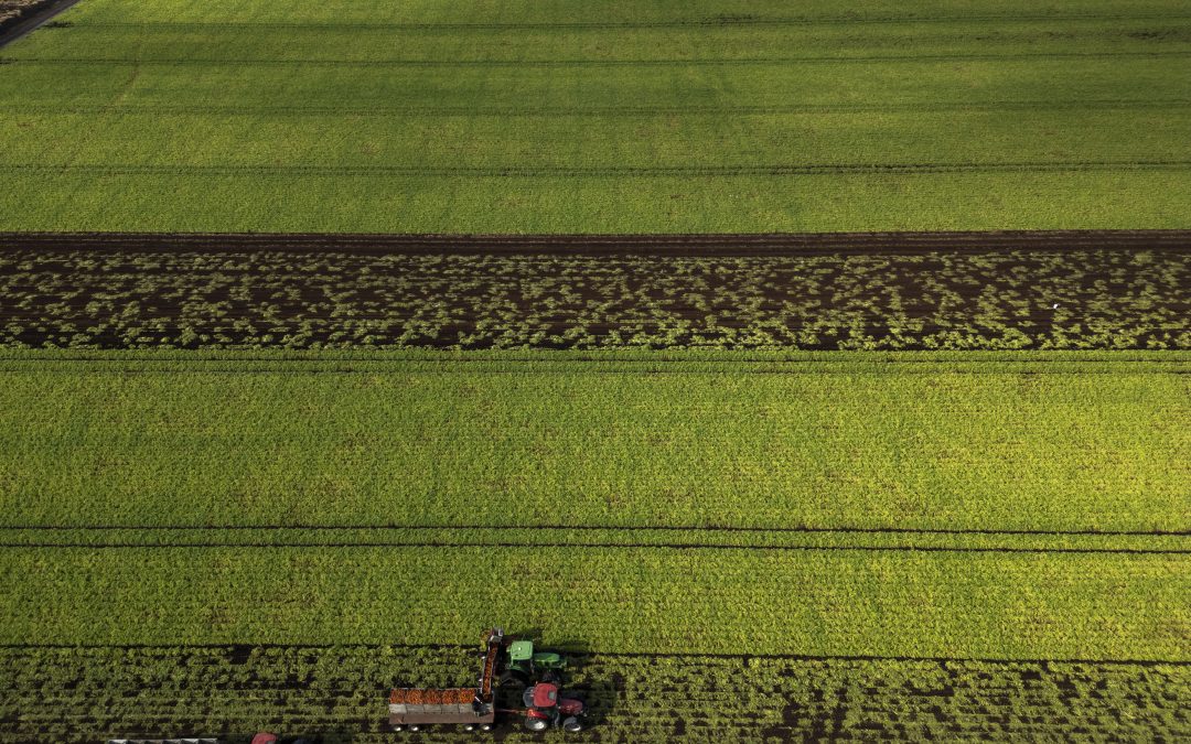 Soaring diesel prices squeeze already tight agriculture margins: Farm Credit Canada